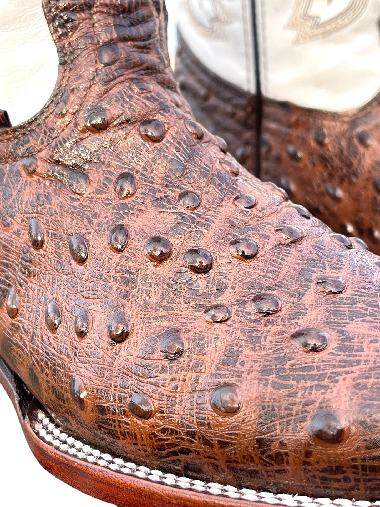 TBC BOOTMAKERS BROWN OSTRICH LEATHER PRINT 7678