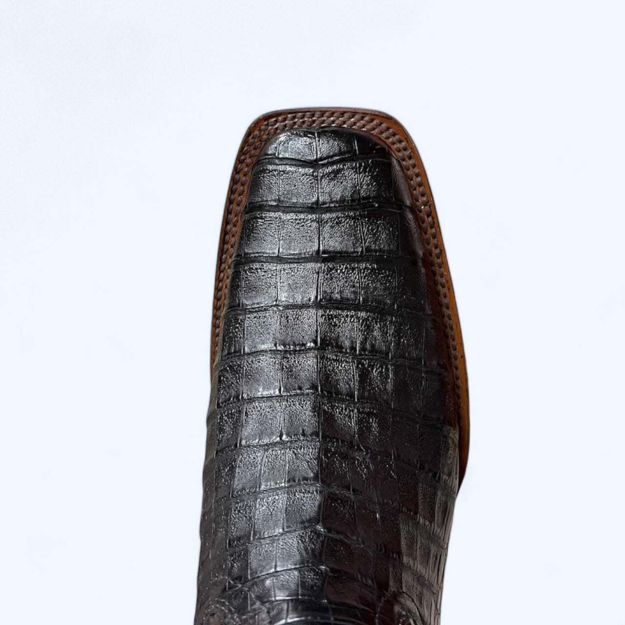 TBC Bootmakers The Rodeo Black Caiman Belly